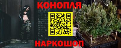 ГАЛЛЮЦИНОГЕННЫЕ ГРИБЫ Сланцы