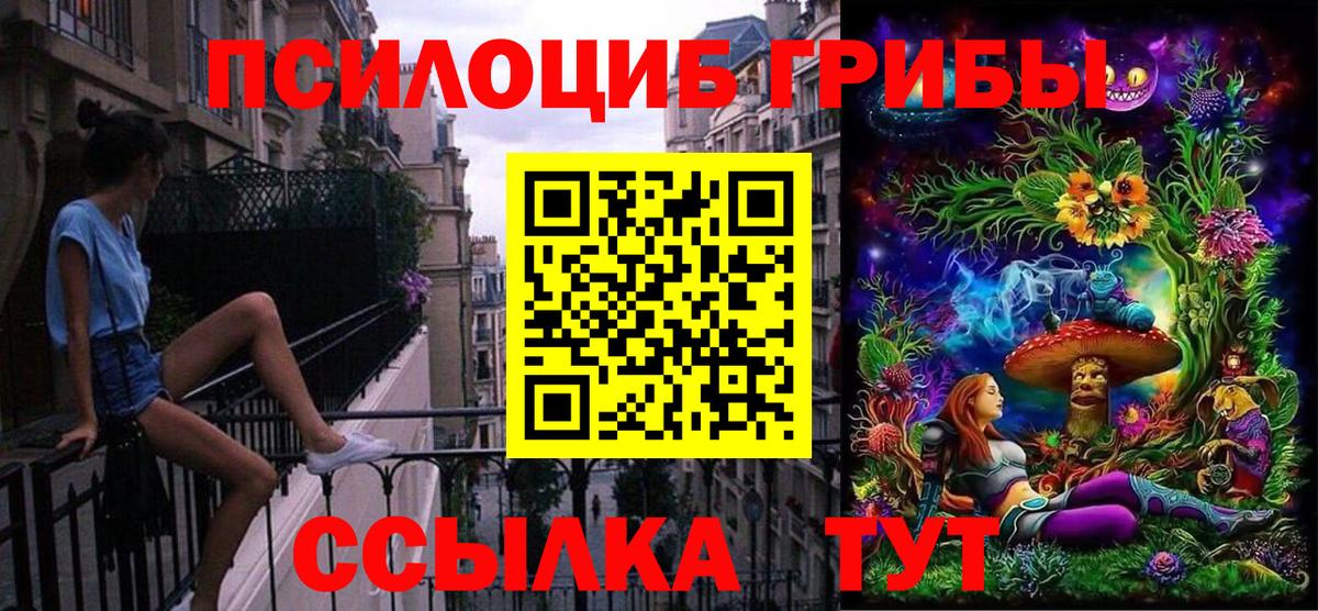 Галлюциногенные грибы Cubensis  Галлюциногенные грибы прущие грибы  Можга  продажа наркотиков  Вход с VPN 
